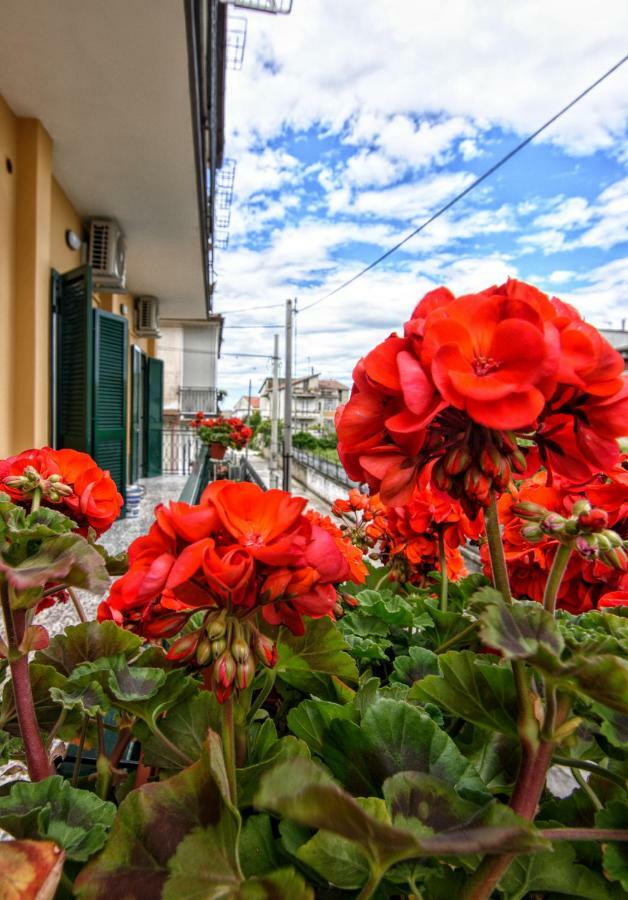 B&B Grazia Capua Exterior photo